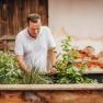 A man in a white shirt works in a raised bed of herbs in front of an old brick wall.
