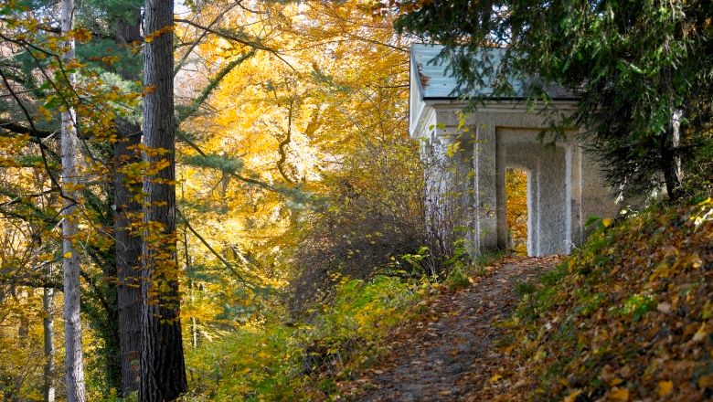 Autumn scene in Lilienfeld Abbey Park with foliage and a small building.