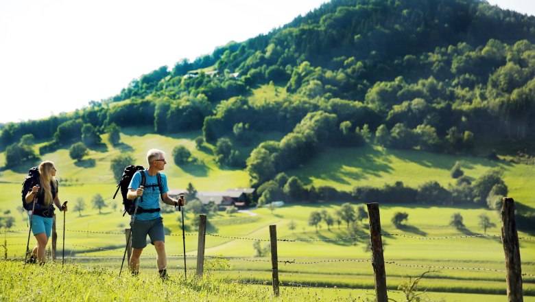 Pielachtal Pilgrimage Trail - Kirchberg an der Pielach, © weinfranz.at