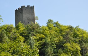 Freyenstein ruins, &copy; Marktgemeinde Neustadtl an der Donau