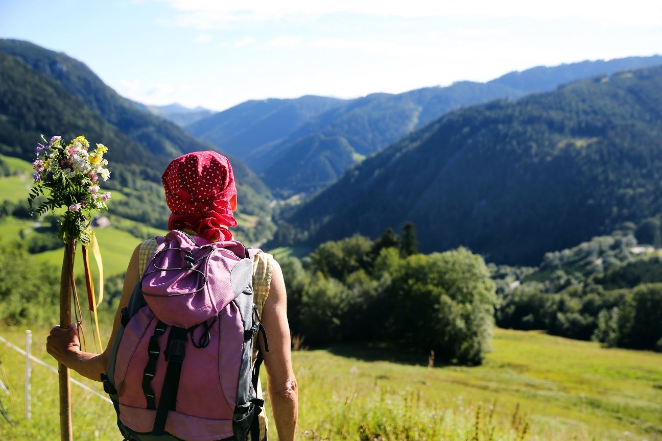 View into the Türnitz valley