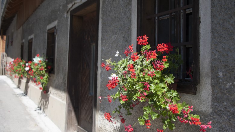 Flowers on a window of an old house.