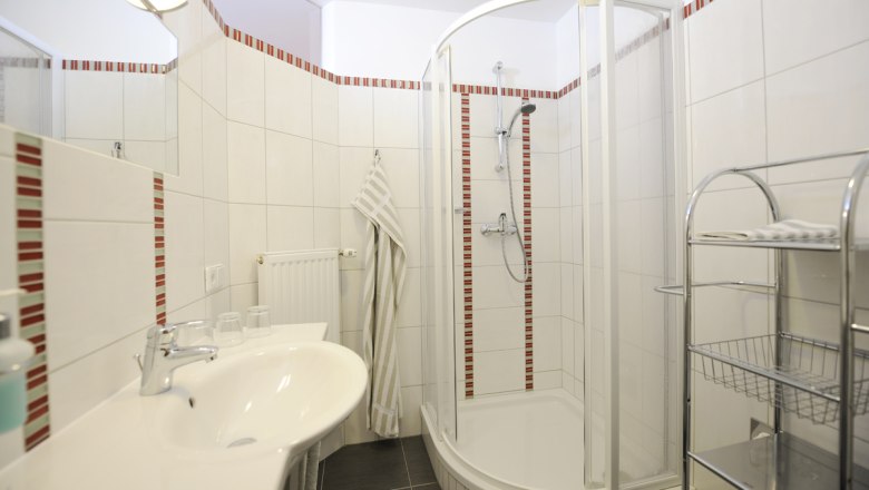 Modern bathroom with shower and washbasin.