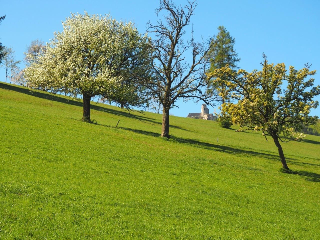 With a view of the Araburg