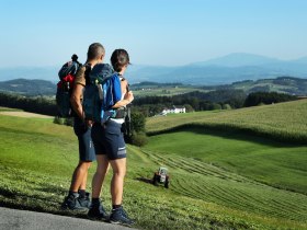 Gently undulating landscape along the Sonntagbergweg trail, &copy; weinfranz.at