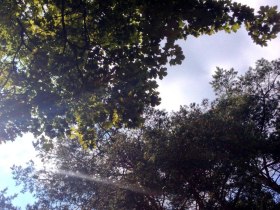 Senses, &copy; Mostviertel Tourismus / zunder zwo