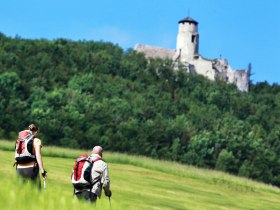 Path to the Araburg, &copy; Mostviertel Tourismus / schwarz-koenig.at