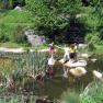 Children play at a pond in the countryside with water lilies and reeds.
