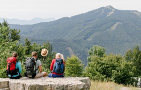 Mountain idyll, &copy; Mostviertel Tourismus / schwarz-koenig.at