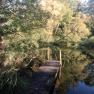 A small wooden footbridge leads to a peaceful pond surrounded by trees.