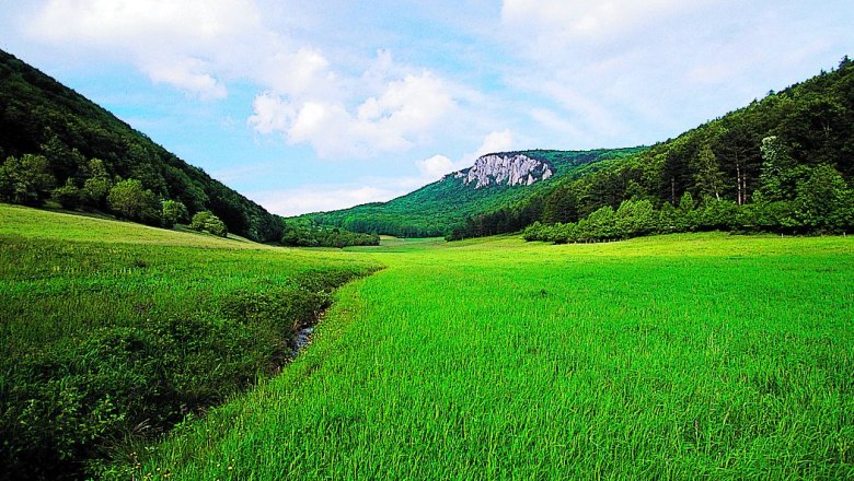 Green meadow with hills and wooded mountains in the background under a blue sky.