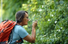 Pilgrims on the Via Sacra, &copy; Mostviertel - Via Sacra