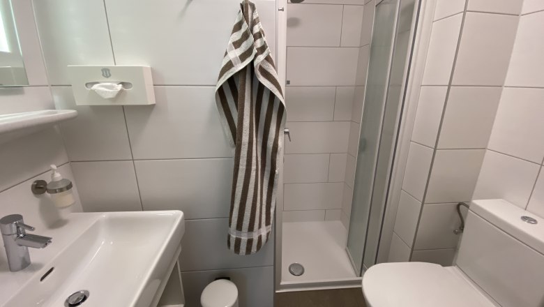 Modern bathroom with shower, washbasin and toilet.