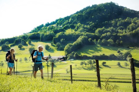 Pielachtal Pilgrimage Trail - Kirchberg an der Pielach, © weinfranz.at