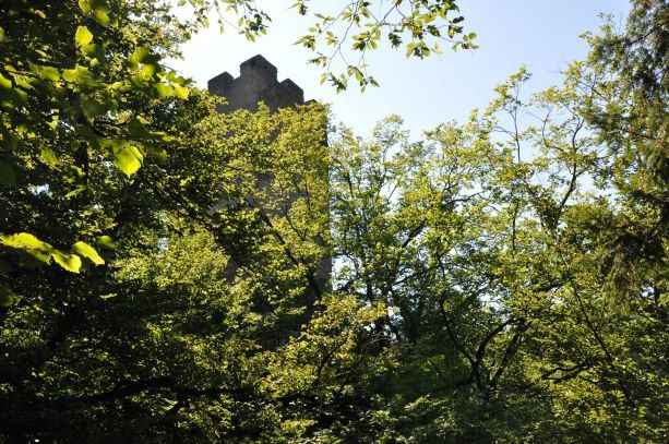 Freyenstein ruins
