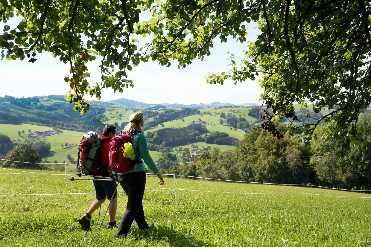 Hike across the meadow