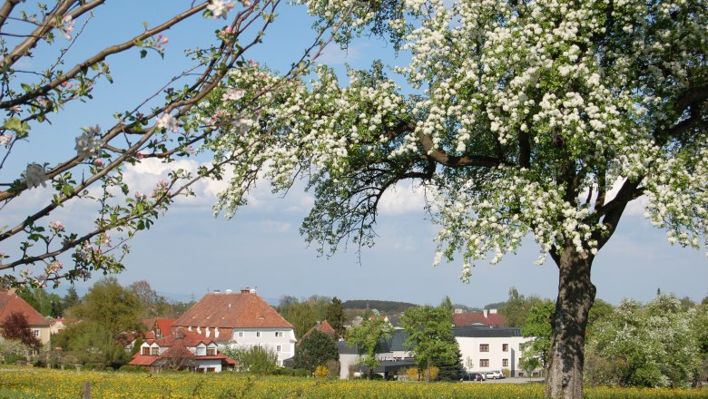 St. Benedikt Education Center, &copy; BZ St. Benedikt