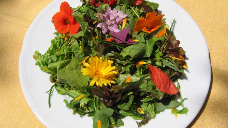 A plate with wild herb salad and edible flowers on a yellow tablecloth.