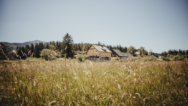 Gschoadwirt, &copy; Gschoadwirt