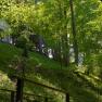 A small temple in Lilienfeld Abbey Park, surrounded by dense forest and green foliage.