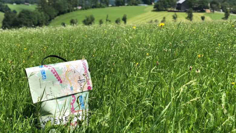 "Gustav" in Kaumberg, &copy; Wienerwald Tourismus