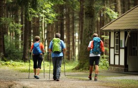 Weg zur Waldkapelle Weinburg, &copy; weinfranz.at