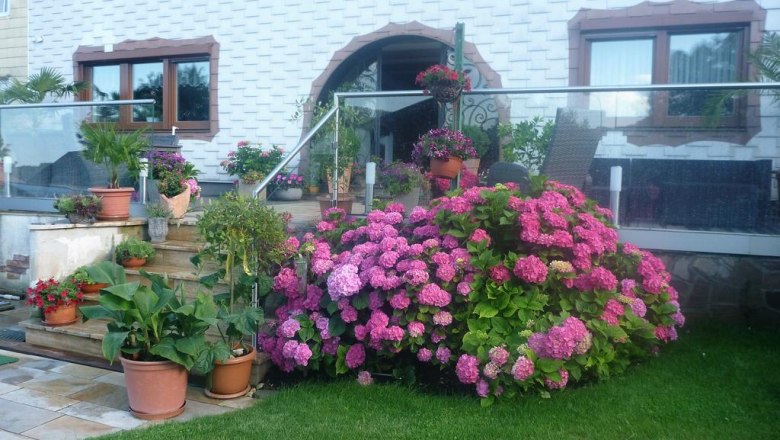 House Regina, © Haus Regina