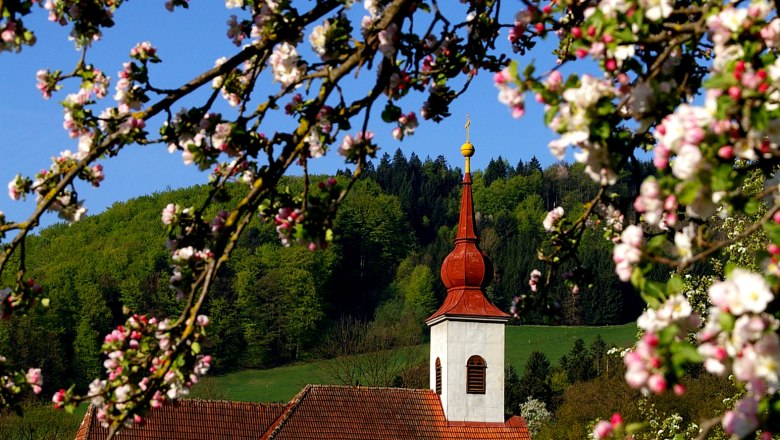 Church in St. Veit/G&ouml;lsen with blossoming branches in the foreground.