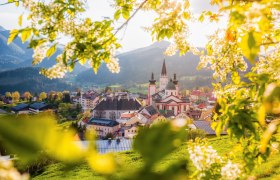 Basilika Mariazell, © Fred Lindmoser
