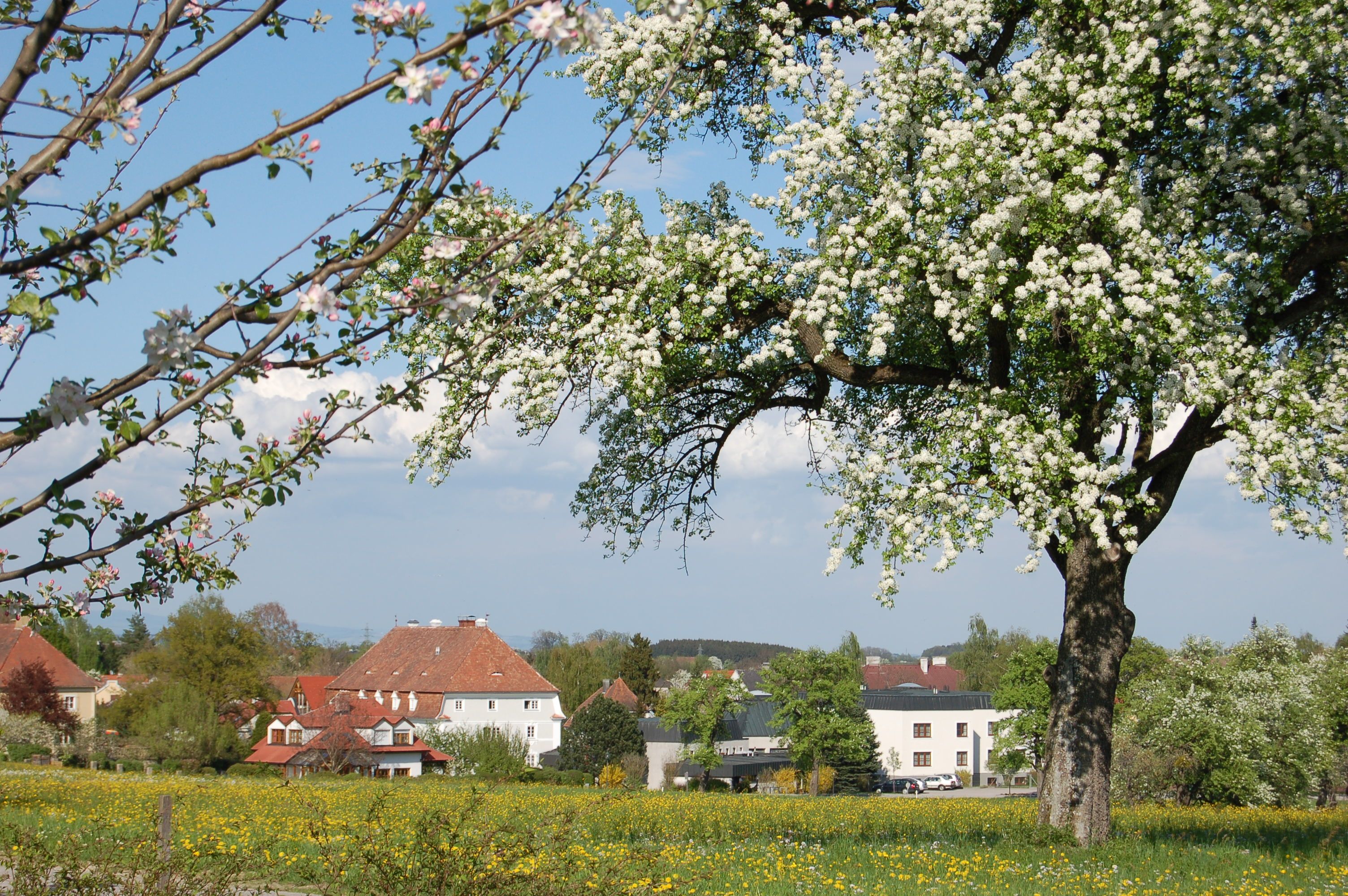 St. Benedikt Education Center