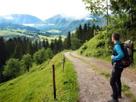 View along the Via Trinitatis, &copy; Mostviertel