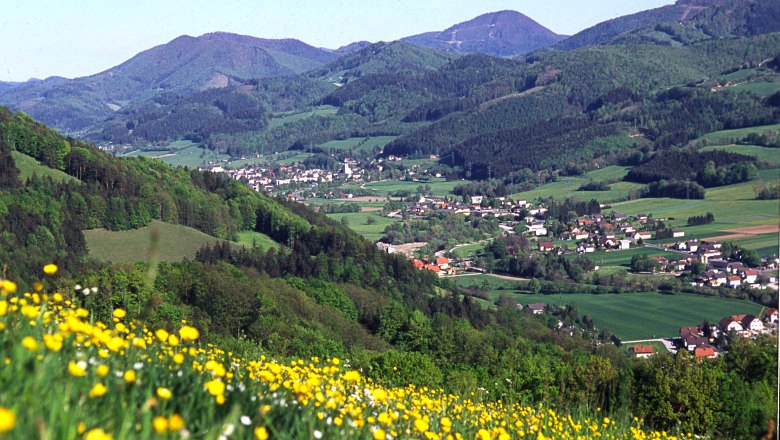 View of St. Veit/G&ouml;lsen with a flowering meadow in the foreground and wooded hills in the background.