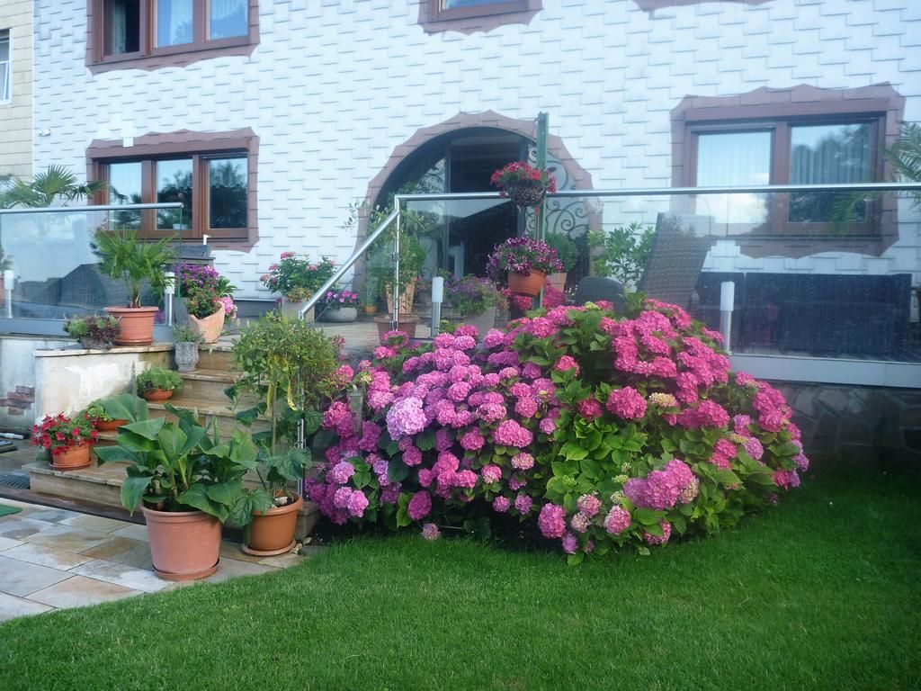 House Regina