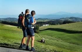 Gently undulating landscape along the Sonntagbergweg trail, &copy; weinfranz.at