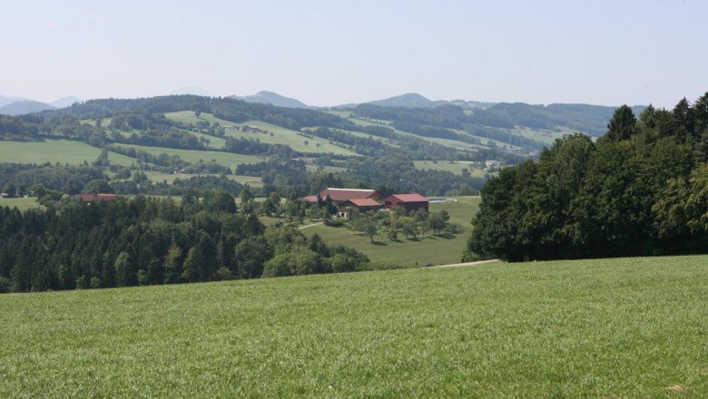 Viewing point at the D&ouml;rrhaus, &copy; Marktgemeinde Hofstetten-Gr&uuml;nau
