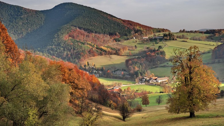The Vienna Woods, &copy; Gasthof zur Bruthenne