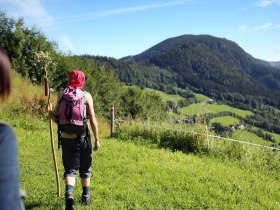Pilgrim companion near Annaberg, &copy; Mostviertel - Via Sacra