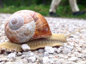 Time, &copy; Mostviertel Tourismus / zunder zwo