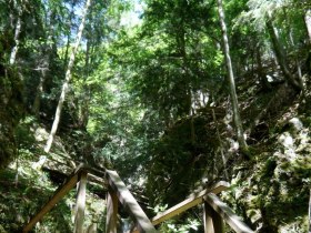 Transitions, &copy; Mostviertel Tourismus / zunder zwo