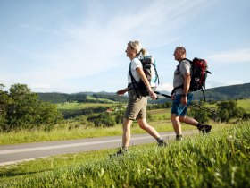 On the road along the Via Trinitatis, &copy; Mostviertel