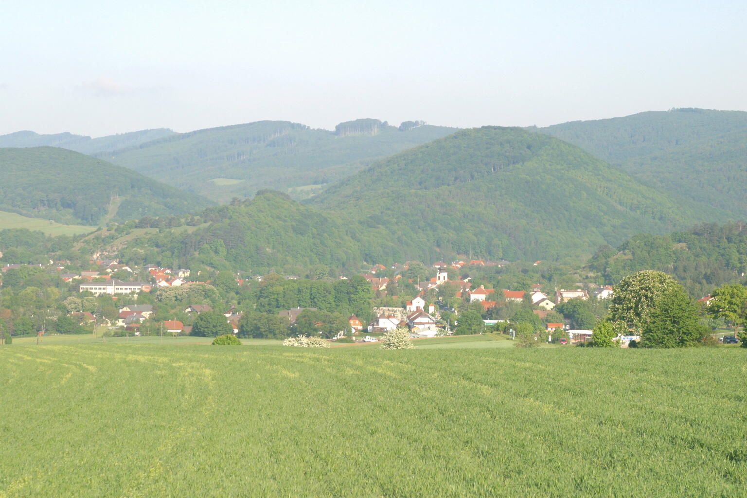Landscape view of Alland with green fields and wooded hills in the background.