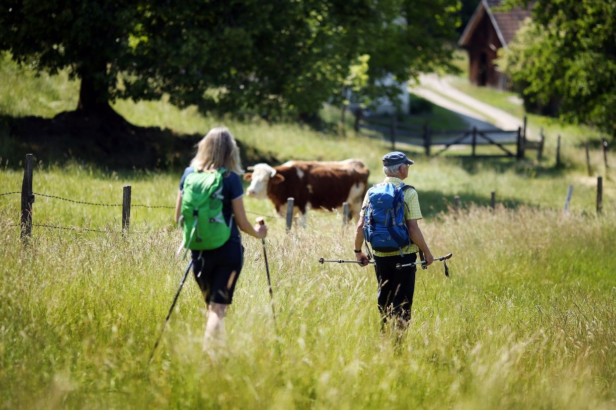 Pilgrims in Rohrbach an der Gölsen