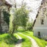 A country path between two houses, surrounded by blossoming trees and green grass.